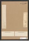 Nitzschia brightwellii Kitton. (de-Toni-Nr.: Genus 47, Species 2038) Zeichnungen Sammlung Grunow Nr. 4025 (NHMW-BOT-W0371834)